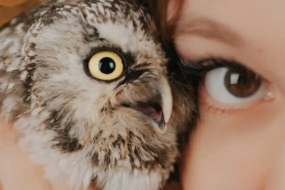 MatchUp Kazino Pagalba